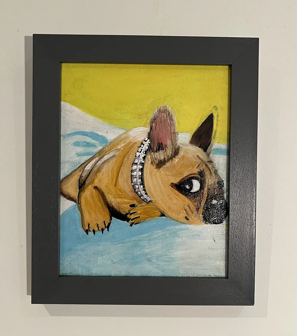 French bulldog puppy