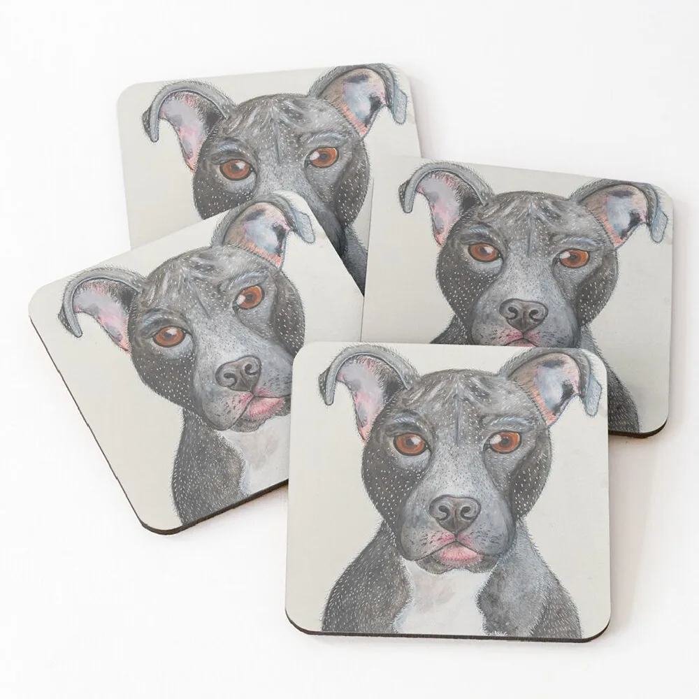 Grey Staffy with Brown Eyes Coaster