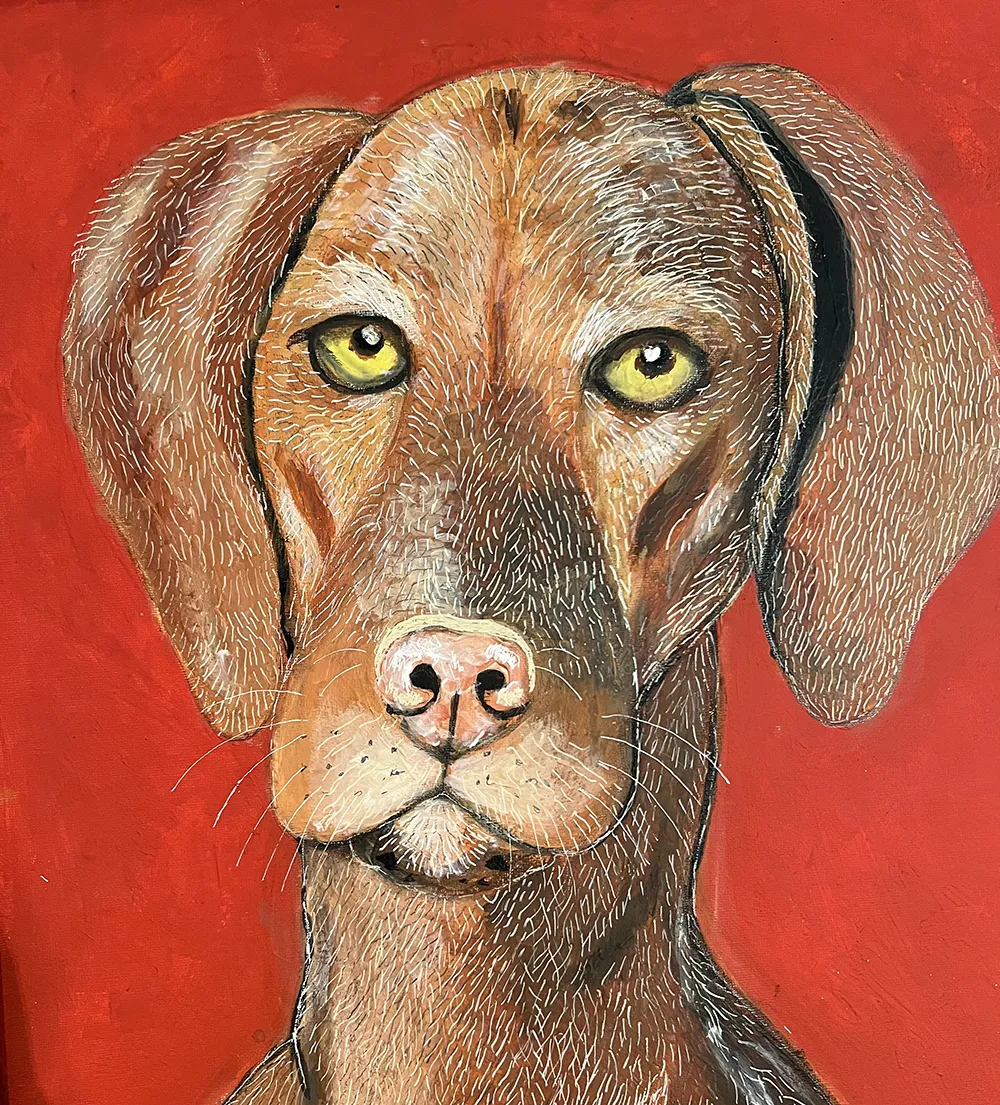 Hungarian Vizsla in Red
