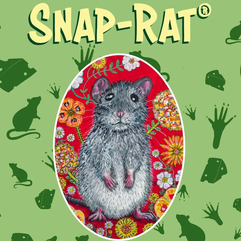 Snap Rat Card Game