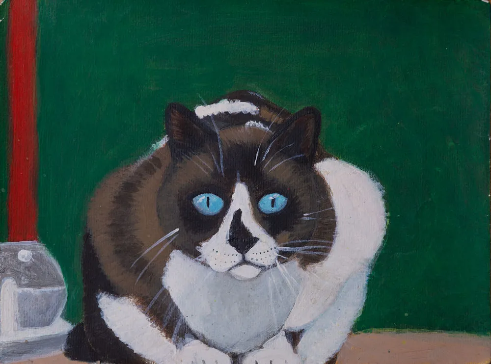 Black and White Cat