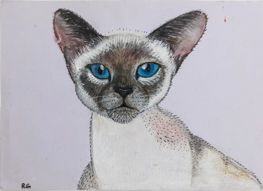 Kitten with Blue Eyes