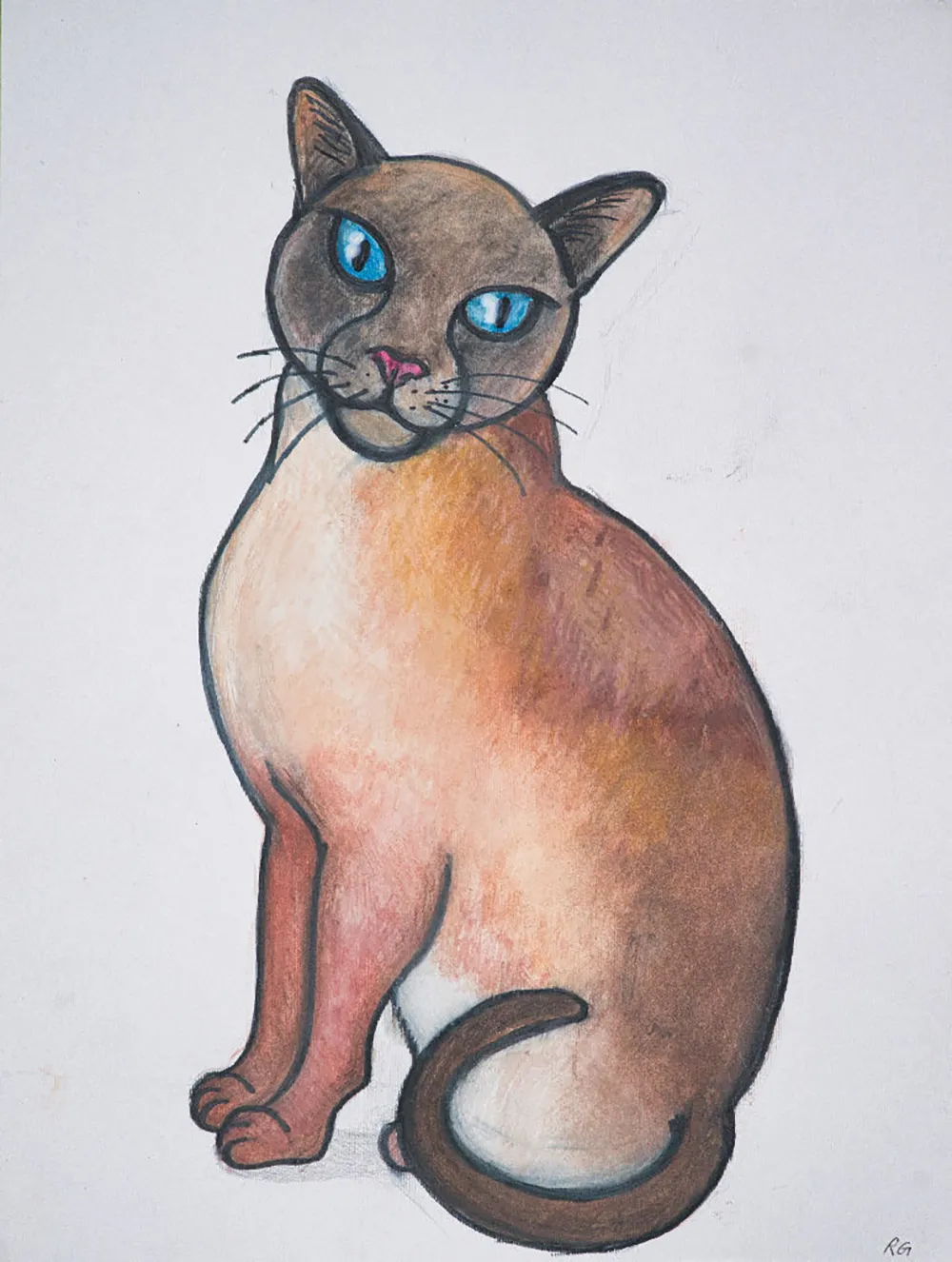Sitting Siamese Cat
