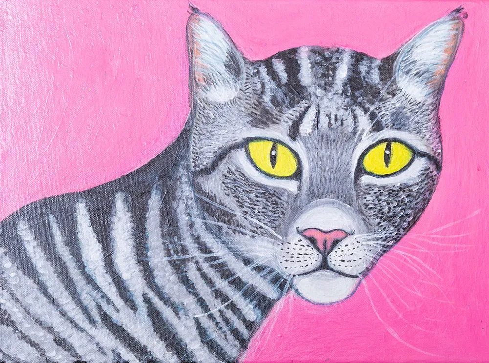 Tabby Cat in Pink