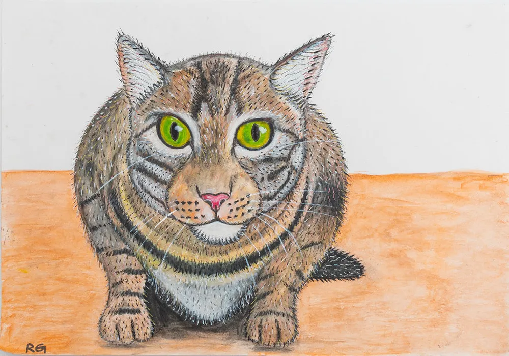 Tabby Cat with Green Eyes