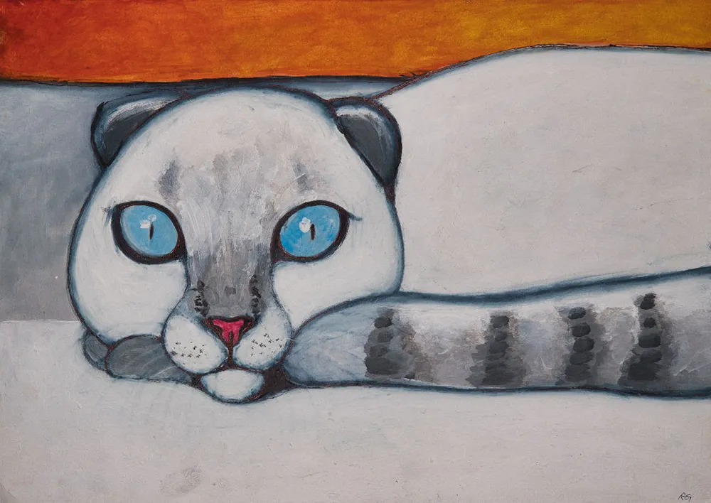 White Cat Blue-Eyed
